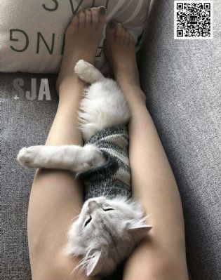 欧美啪在线影院_1080高清视频播放