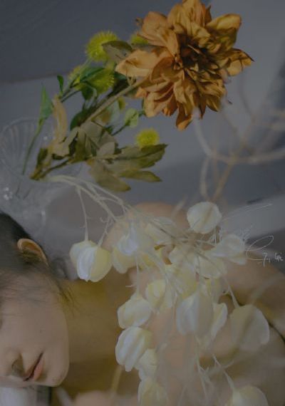 欧美狂野男生手机壁纸_BD韩语免费电视剧